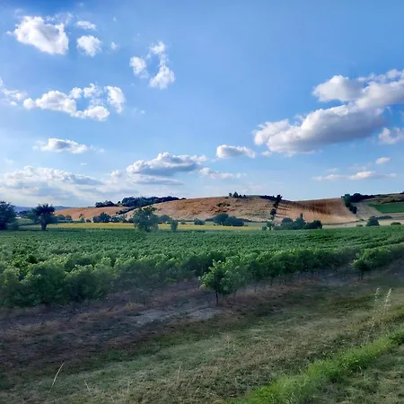 Frühstückspension Les Postales - Halte Ressourcante Occitanie 3*