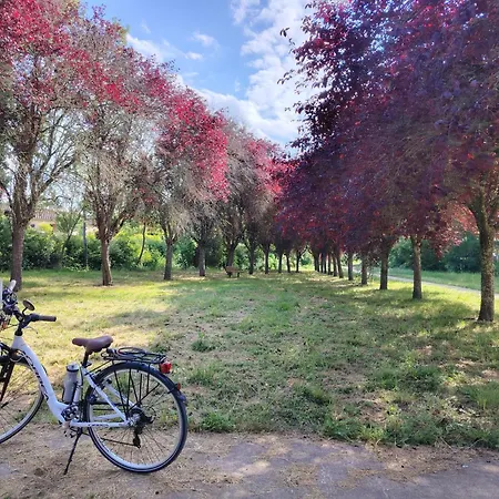 Frühstückspension Les Postales - Halte Ressourcante Occitanie Bellegarde-du-Razes