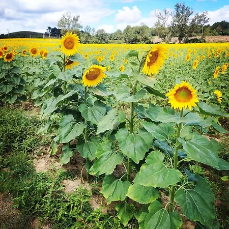Frühstückspension Les Postales - Halte Ressourcante Occitanie